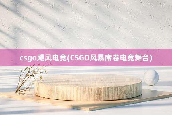 csgo飓风电竞(CSGO风暴席卷电竞舞台)