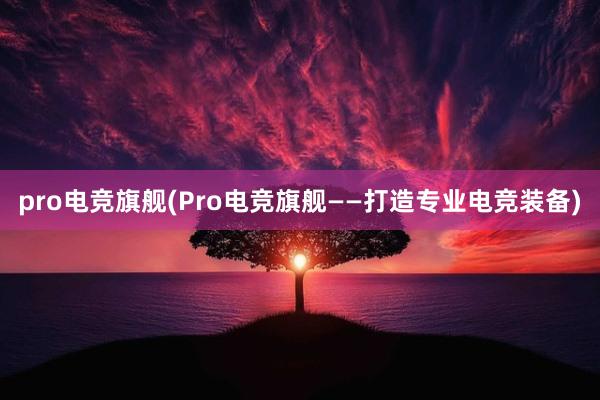 pro电竞旗舰(Pro电竞旗舰——打造专业电竞装备)