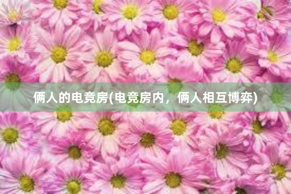 俩人的电竞房(电竞房内，俩人相互博弈)