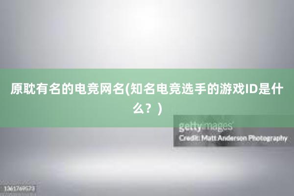 原耽有名的电竞网名(知名电竞选手的游戏ID是什么？)