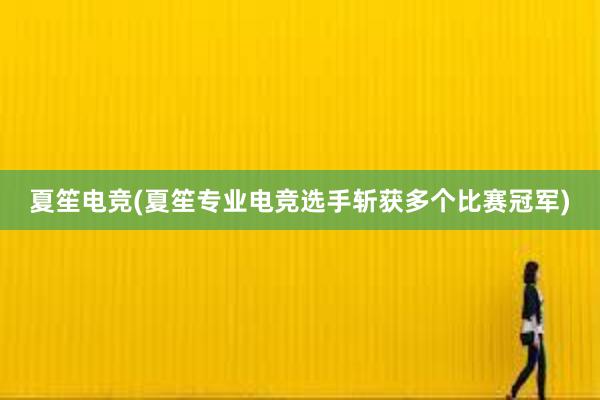 夏笙电竞(夏笙专业电竞选手斩获多个比赛冠军)