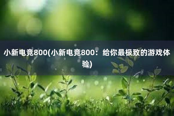 小新电竞800(小新电竞800：给你最极致的游戏体验)