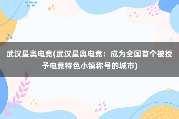 武汉星奥电竞(武汉星奥电竞：成为全国首个被授予电竞特色小镇称号的城市)