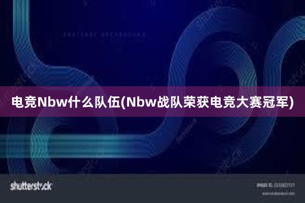 电竞Nbw什么队伍(Nbw战队荣获电竞大赛冠军)