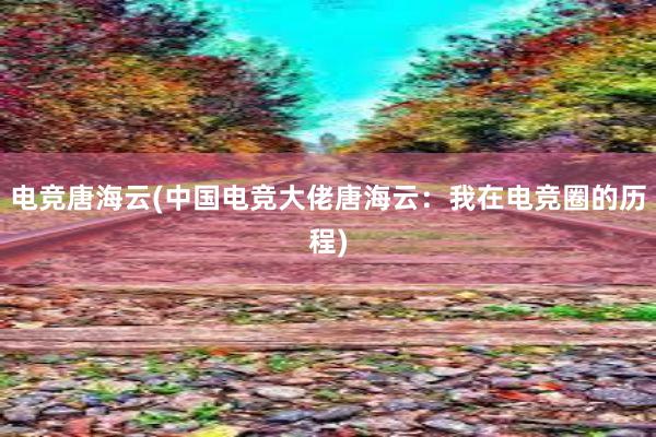 电竞唐海云(中国电竞大佬唐海云：我在电竞圈的历程)