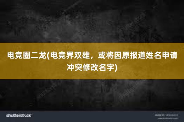 电竞圈二龙(电竞界双雄，或将因原报道姓名申请冲突修改名字)