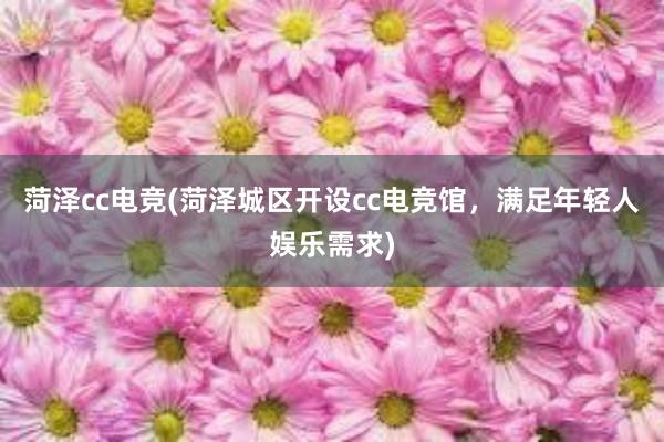 菏泽cc电竞(菏泽城区开设cc电竞馆，满足年轻人娱乐需求)