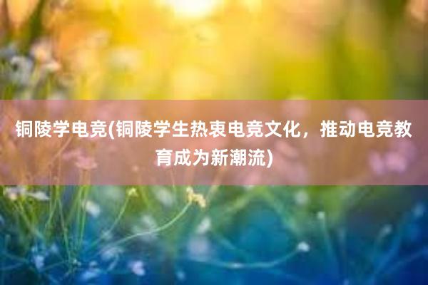 铜陵学电竞(铜陵学生热衷电竞文化，推动电竞教育成为新潮流)