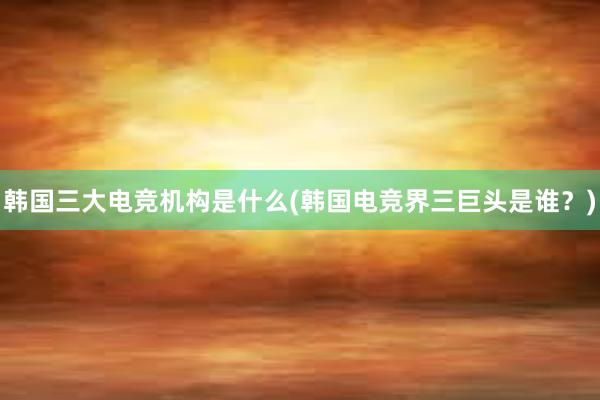 韩国三大电竞机构是什么(韩国电竞界三巨头是谁？)