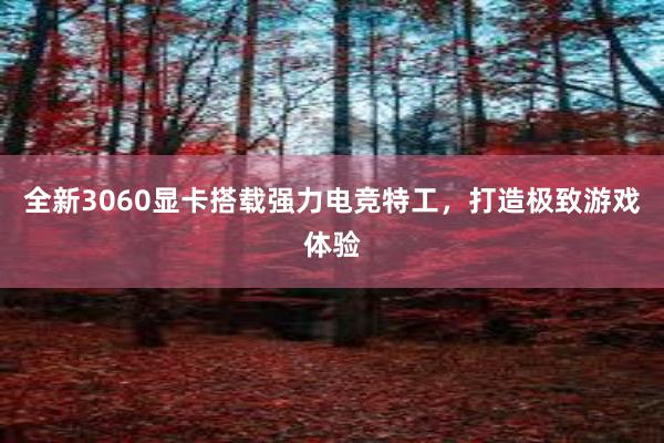 全新3060显卡搭载强力电竞特工，打造极致游戏体验