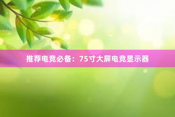 推荐电竞必备：75寸大屏电竞显示器