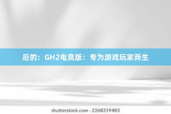 后的：GH2电竞版：专为游戏玩家而生