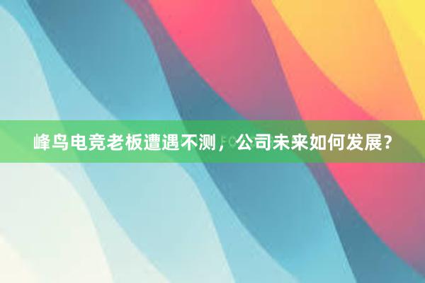 峰鸟电竞老板遭遇不测，公司未来如何发展？