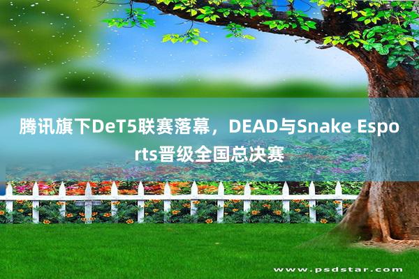 腾讯旗下DeT5联赛落幕，DEAD与Snake Esports晋级全国总决赛