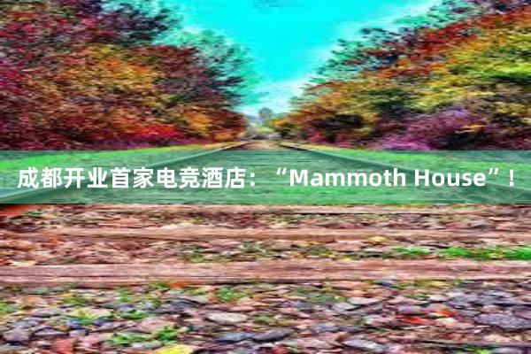 成都开业首家电竞酒店：“Mammoth House”！