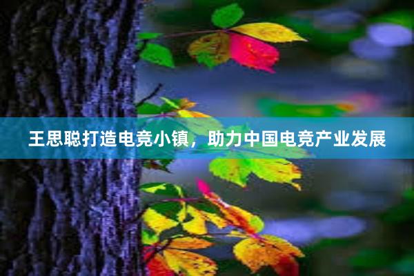 王思聪打造电竞小镇，助力中国电竞产业发展