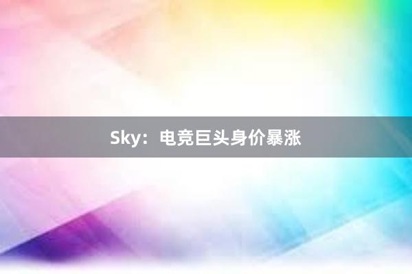 Sky：电竞巨头身价暴涨