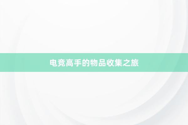 电竞高手的物品收集之旅