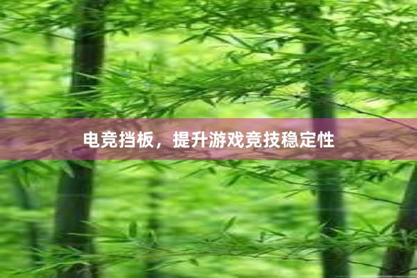 电竞挡板，提升游戏竞技稳定性