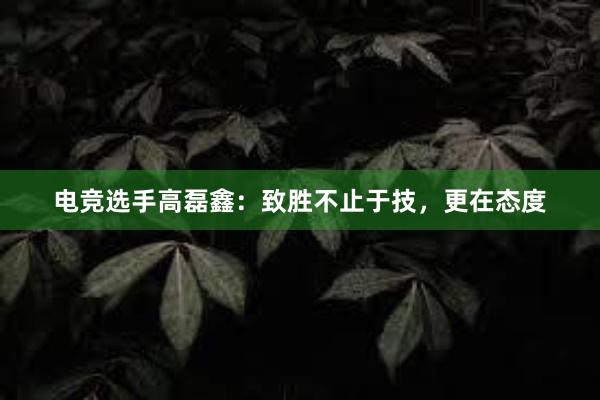 电竞选手高磊鑫：致胜不止于技，更在态度