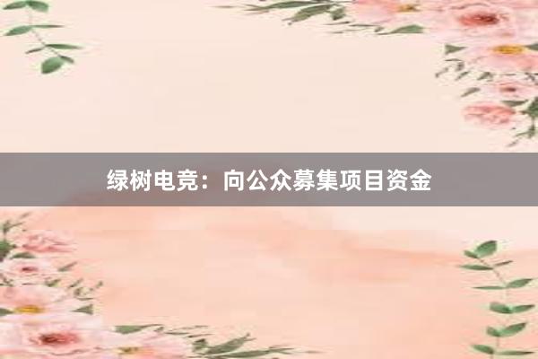 绿树电竞：向公众募集项目资金