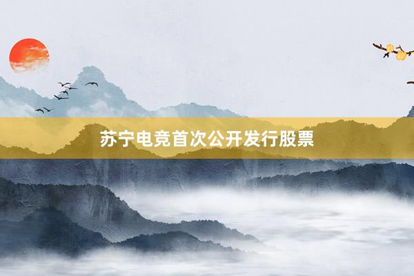 苏宁电竞首次公开发行股票